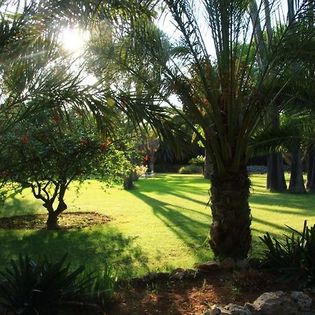 Finca Hotel Predio Son Serra カン・ピカフォルト エクステリア 写真