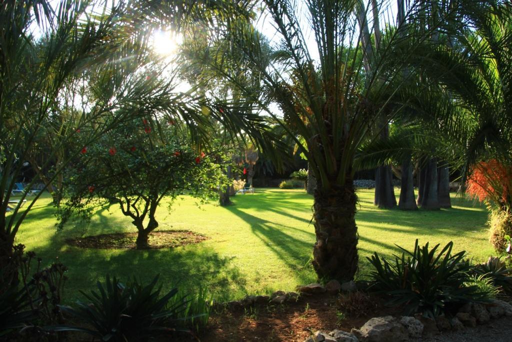 Finca Hotel Predio Son Serra カン・ピカフォルト エクステリア 写真